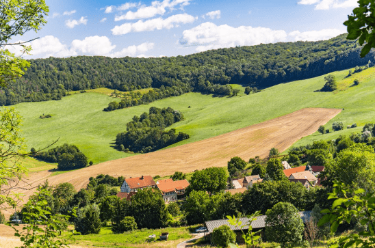 Jena Waldlabor
